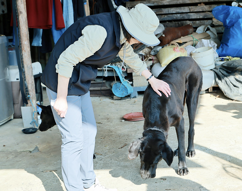 蔡英文摸他的狗狗好朋友。&nbsp;&nbsp;&nbsp;圖：蔡英文辦公室提供