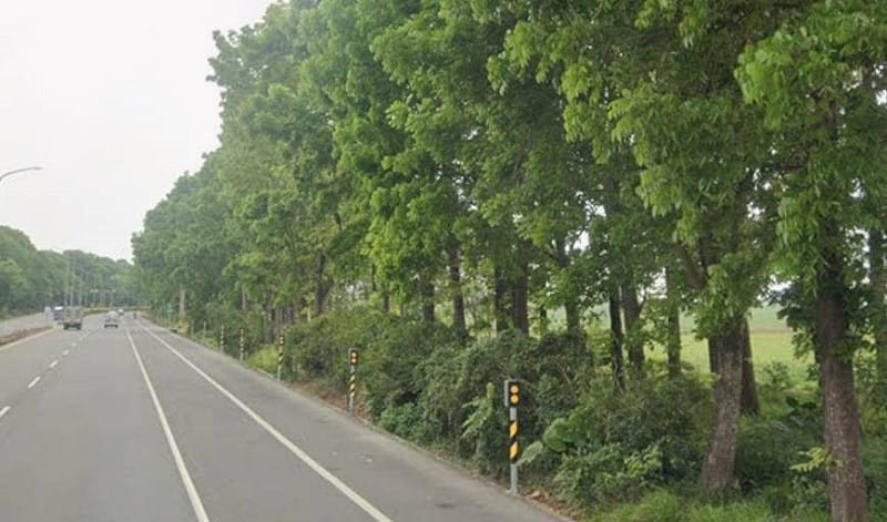 環保林園大道原本青蔥的綠蔭林帶已不復見。&nbsp;&nbsp;&nbsp;圖：孫家銘翻攝