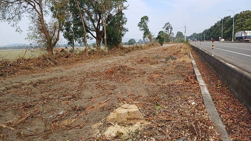 環保林園大道如今已光禿禿一片。&nbsp;&nbsp;&nbsp;圖：孫家銘翻攝
