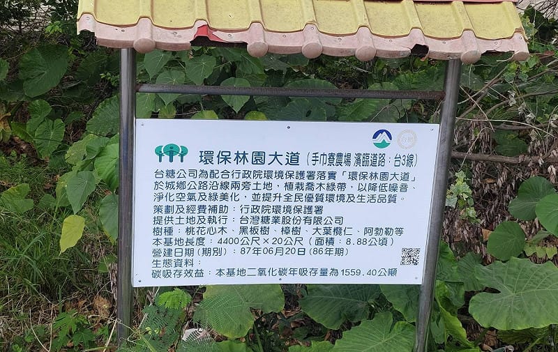 當初由環保署策劃及經費助的環保林園大道，居民控硬遭台糖以安全為由強行大規模砍伐。&nbsp;&nbsp;&nbsp;圖：孫家銘翻攝