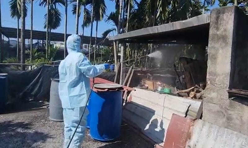 屏縣府啟動畜牧場與周邊道路清消，全面提升生物安全措施，降低任何傳播可能風險。&nbsp;&nbsp;&nbsp;圖：屏東縣政府/提供