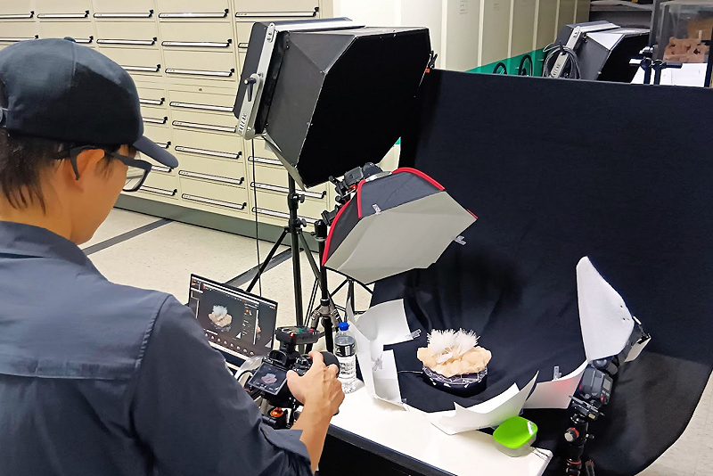 3DGS透過數百張不同角度的標本影像，細緻重建物體的視覺資訊，並以數百萬個具方向性與色彩資訊的「高斯光點」進行重建，生成可即時互動的立體模型。&nbsp;&nbsp;&nbsp;圖：國立自然科學博物館／提供