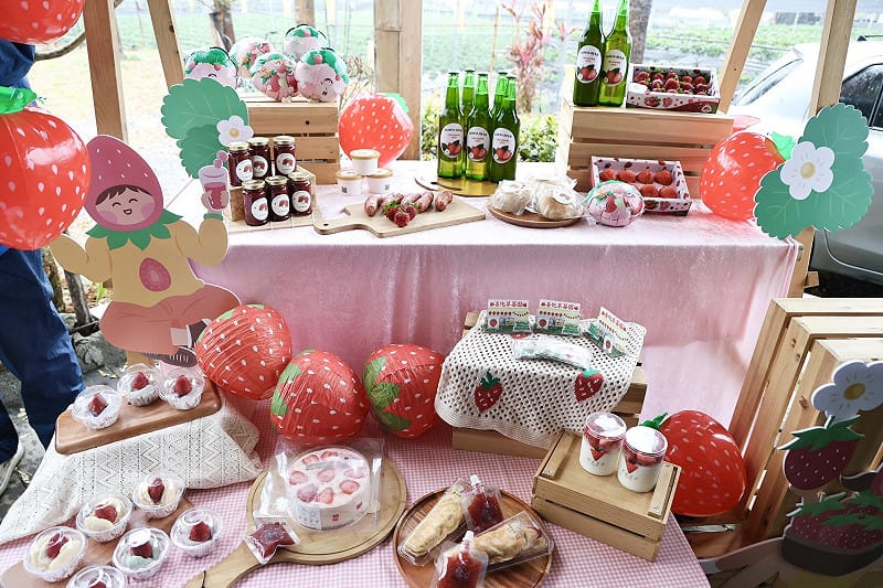 「莓好生活節」善化草莓季將於本週六在善化啤酒廠熱鬧登場，台南市長黃偉哲今日前往善化區大安草莓園為活動揭開序幕。&nbsp;&nbsp;&nbsp;圖：台南市政府提供