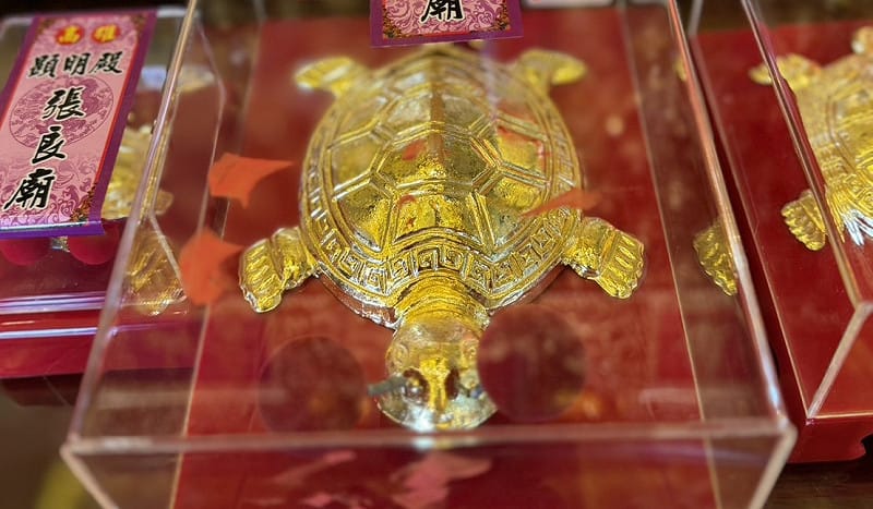 「顯明殿」張良廟金龜祈福活動中最高等級為「1兩金龜王」。&nbsp;&nbsp;&nbsp;圖：孫家銘翻攝