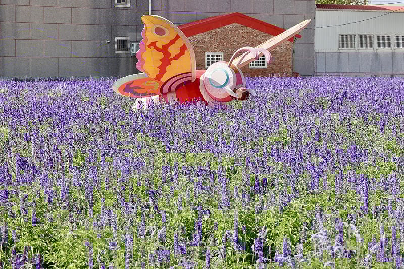 每年春季正逢學甲蜀葵花繽紛綻放，今年蜀葵景觀專區廣達2.6公頃，更首度構築多層次的五彩花毯，歡迎全國民眾利用假期走訪學甲，感受花海與在地農漁產業結合的獨特魅力。&nbsp;&nbsp;&nbsp;圖：台南市政府提供