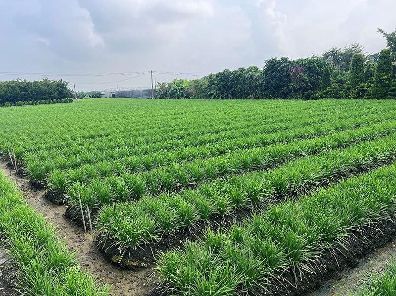 透過微生物技術套組管理，有效改善環境逆境下面臨之問題，穩定產業之生產力。&nbsp;&nbsp;&nbsp;圖：農業部／提供