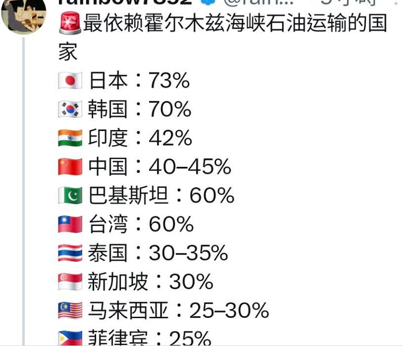 依賴荷姆茲海峽能源運輸的國家。&nbsp;&nbsp;&nbsp;圖 : 翻攝自 X / rainbow7852