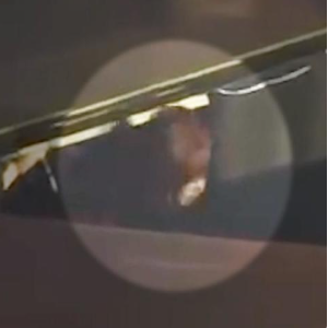 雨琦本月21日前往泰國曼谷開唱時不慎撞到頭，之後出現疼痛、暈眩等疑似是腦震盪的症狀。&nbsp;&nbsp;&nbsp;圖：翻攝自微博