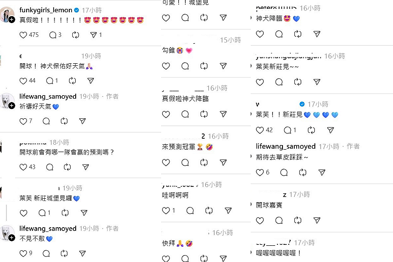 隨著中華職棒開季，萊芙也受邀到中職富邦悍將主場擔任「開球嘉賓」，不少粉絲相當興奮。&nbsp;&nbsp;&nbsp;圖：翻攝自lifewang_samoyed Threads