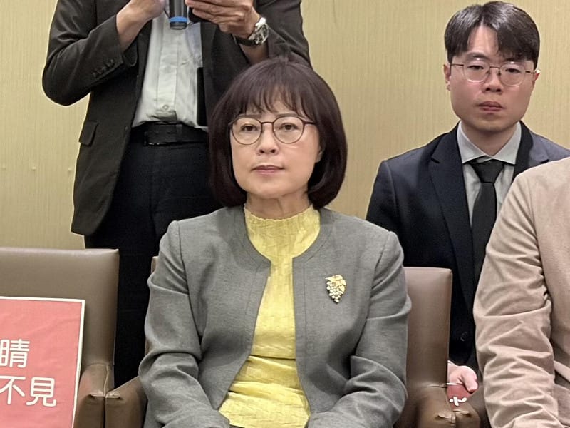  民進黨立委林月琴。 圖：李宣萱/攝 