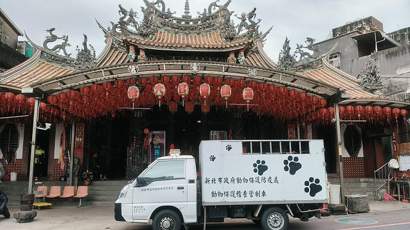 新北市動保處派出動保員前往昭靈宮協助處理。&nbsp;&nbsp;&nbsp;圖：新北市動保處 ／提供