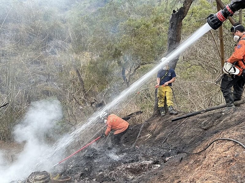 高雄燕巢山區3日發生雜草火警，由於現場多為枯乾竹林，且受山風助長，火勢蔓延迅速，經消防漏夜奮戰終於在4日上午完全撲滅，目前現場留守部分人力持續監控殘火，防範復燃。（高雄消防局提供）中央社記者洪學廣傳真　115年4月4日&nbsp;&nbsp;&nbsp;