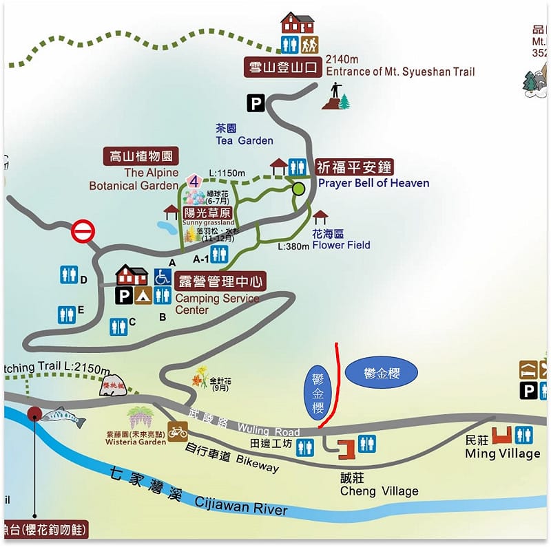 武陵農場鬱金櫻主要種植在田邊工坊過去的三叉路口往左轉進員工宿舍的小路，一抹淡雅的黃綠色就會開始盛開在眼前。&nbsp;&nbsp;&nbsp;圖：翻攝自武陵農場臉書