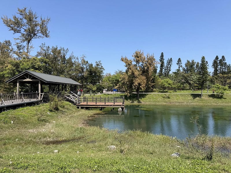 「2026勞工親子歡樂派對暨野放祭嘉年華」將於11、12日，在台東森林公園登場。(圖為台東森林公園資料照)&nbsp;&nbsp;&nbsp;圖：取自台東森林公園臉書