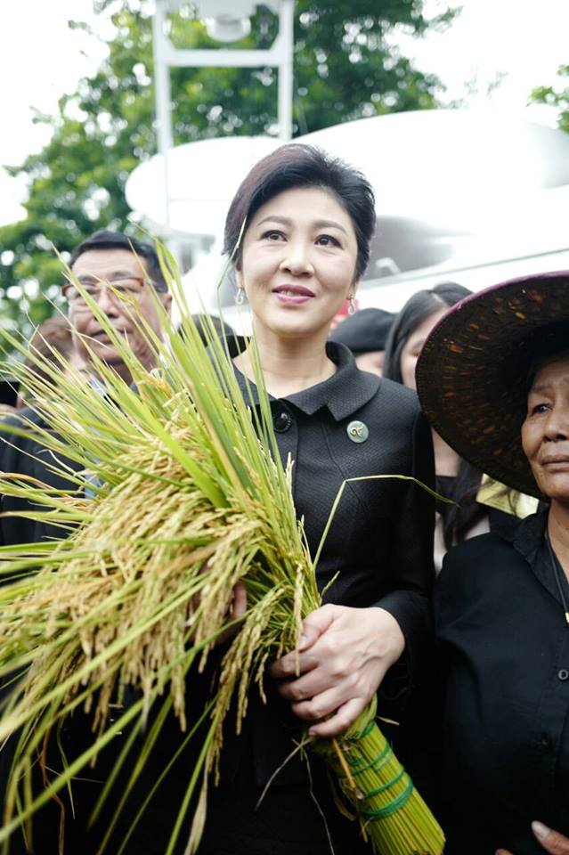 泰國前總理盈拉（中）上任不久即推動稻米收購政策，未料成為她下台的導火線。   圖：翻攝盈拉臉書