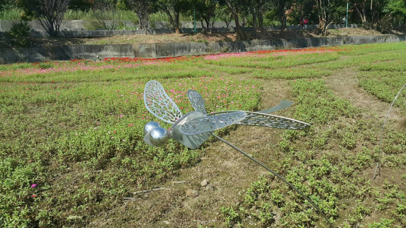 除了「喜事臨門 鯽魚娶親」之外，「繽紛夢翔」的裝置藝術，以蝴蝶娉婷及蜻蜓的飛翔，象徵櫻花步道豐富而多元的生態，想必會將成為活動場內最美麗的風景線之一。   圖：桃園市農業局/提供