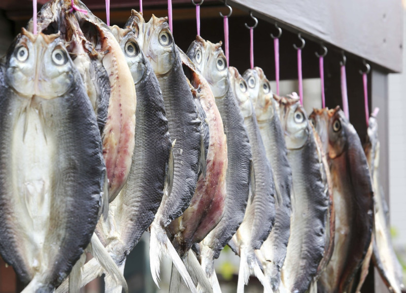 台南北門是虱目魚的故鄉，很多家戶都在自曬虱目魚干。圖/張大魯攝   