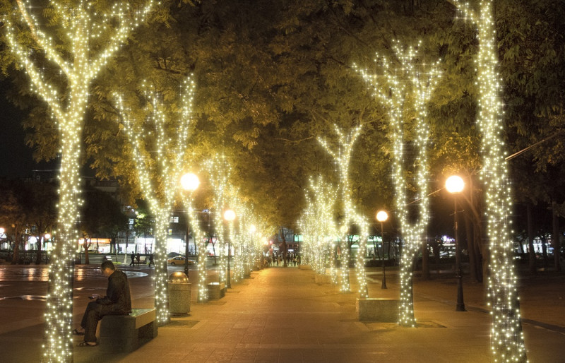 圖為板橋站前廣場兩側路樹燈飾模擬圖。   圖：新北市觀旅局提供