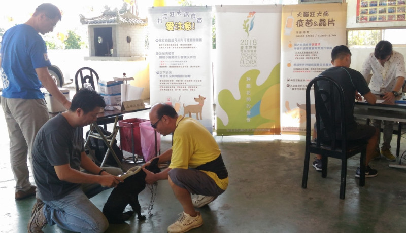 動保處請大家務必遵守「2不1要」原則，也就是「不接觸野生動物、不棄養家中寵物，要每年帶家中犬、貓施打狂犬病疫苗」，才能確保狂犬病不會在人畜間傳播。   圖：台中市政府/提供
