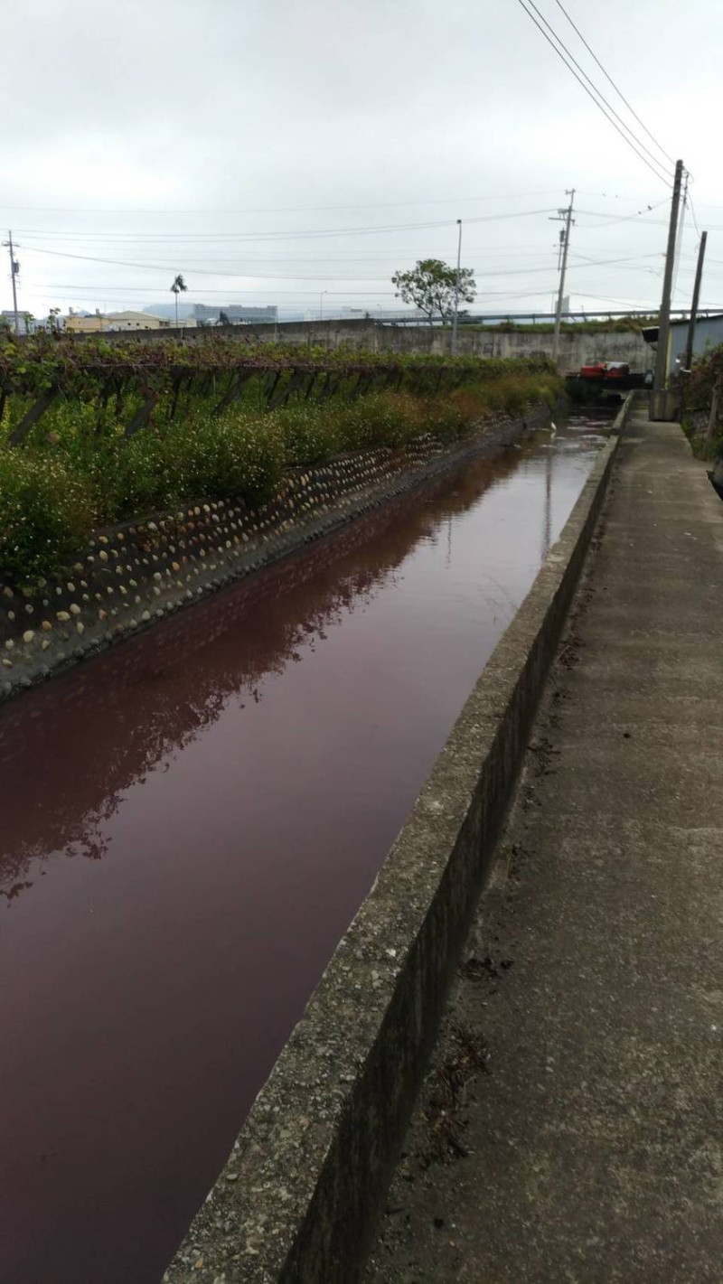 台中市后里區雲頭路附近的排水溝遭排放「紅色廢水」，排水溝長約2公里的水呈現紅色。   圖：台中市政府／提供