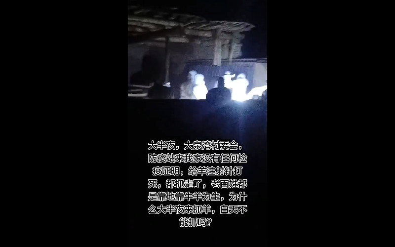 有新疆哈密市大泉灣鄉村民反映，4 月 8 日深夜，村委會與防疫人員在未出示正式文件與合法手續的情況下，進入住家，對其羊群強行注射藥物，使羊隻昏迷後全數帶走。&nbsp;&nbsp;&nbsp;圖:翻攝自影片