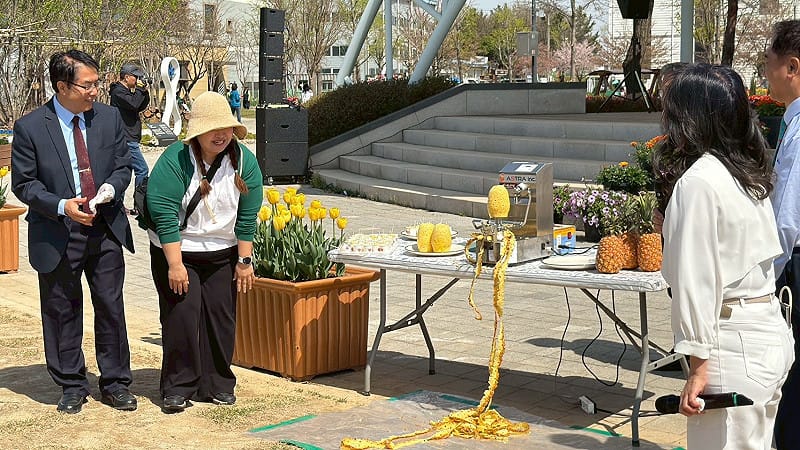 台南市長黃偉哲率團回訪韓國平澤市長鄭長善，並受邀出席當地重要活動「平澤花朵郊遊慶典」。鄭市長並陪同臺南團隊於慶典活動現場一起推廣臺南鳳梨。&nbsp;&nbsp;&nbsp;圖：台南市政府提供