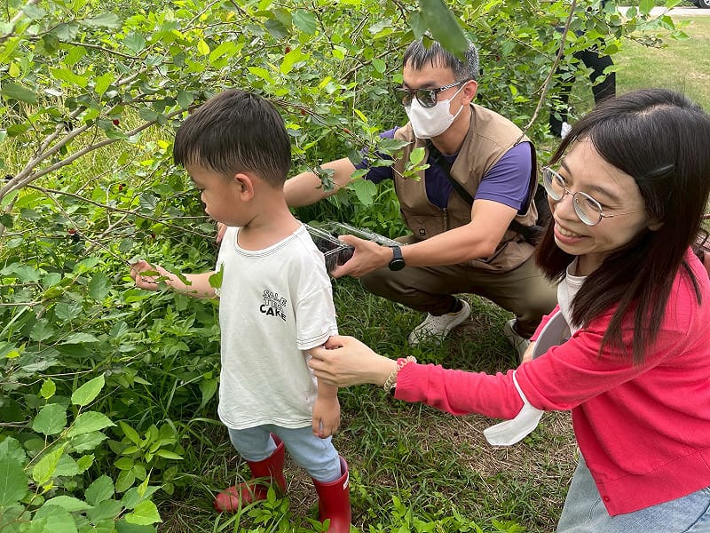 為推廣在地有機農業與健康飲食理念，台南市柳營區公所於太康有機農業專區舉辦「115年柳營有機蔬果節」，結合當季農產特色，特別規劃「採桑葚體驗活動」，邀請全國民眾走進田園、親近自然，感受有機農業的魅力。&nbsp;&nbsp;&nbsp;圖：台南市政府提供