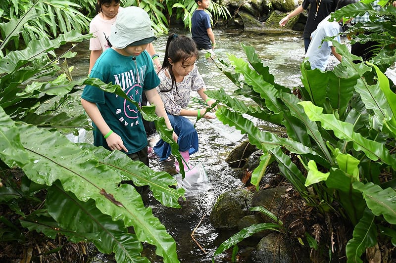 今年有2梯次，為期四天三夜的自然體驗活動，由池南自然教育中心設計帶領，讓孩子走進森林懷抱，展開一場充滿驚喜與探索的夏日冒險。&nbsp;&nbsp;&nbsp;圖：林業署花蓮分署／提供