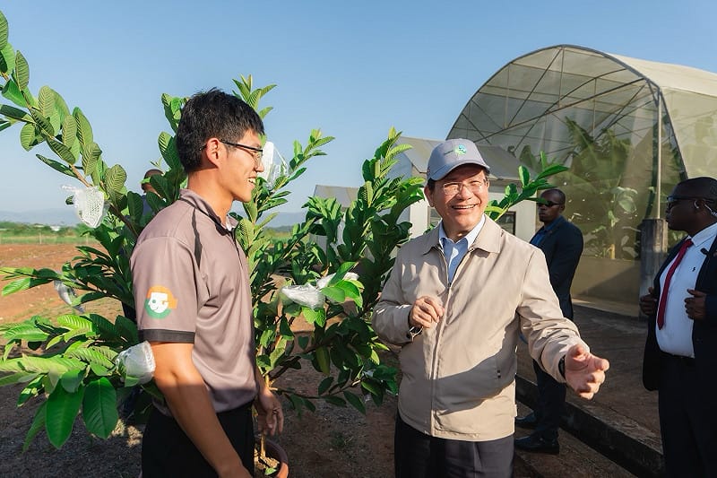  總統特使林佳龍視察台史合作果樹示範農場。 圖：外交部提供 