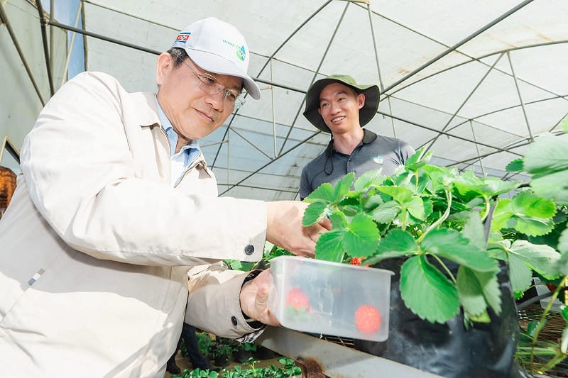  總統特使林佳龍視察台史合作果樹示範農場採收草莓。 圖：外交部提供 