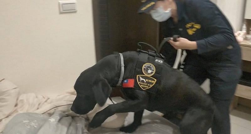 高雄市警察局刑事警察大隊在114年打詐專案行動中，派出全台首隻電子產品偵測犬Wafer嗅聞特殊化學塗料，取得關鍵犯罪事證，成功瓦解詐騙集團。（高雄刑大提供）中央社記者洪學廣傳真　115年5月1日&nbsp;&nbsp;&nbsp;