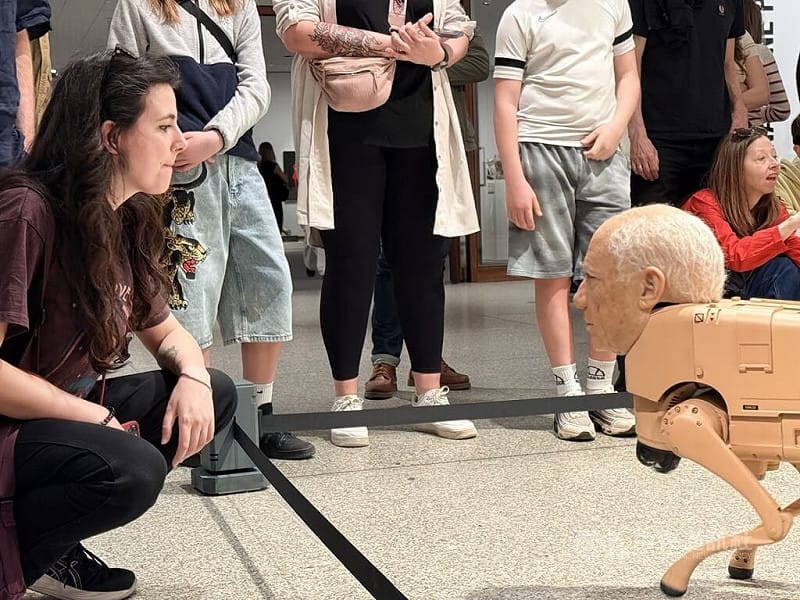 美國數位藝術家Beeple的裝置作品「常規動物」於柏林新國家美術館展出，畢卡索造型機器狗在展場中與觀眾對視、互動，反映過去由重要藝術家決定人們審美的時代，已逐漸被演算法改變。中央社記者林尚縈柏林攝　115年5月5日&nbsp;&nbsp;&nbsp;圖：中央社提供