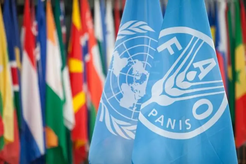  FAO 指出，地緣政治緊張仍是牽動食品價格上漲的主要因素。 圖：翻攝自 Ｘ @bbcgahuza 