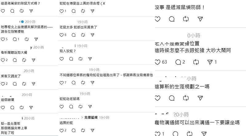 近日台北除了有老鼠外，昨(8)日在捷運車廂還出現一尾蛇在座椅上爬行，掀起網友熱議，甚至笑稱是「鼠類偵防師」。&nbsp;&nbsp;&nbsp;圖：翻攝自life_sciences_kk Threads