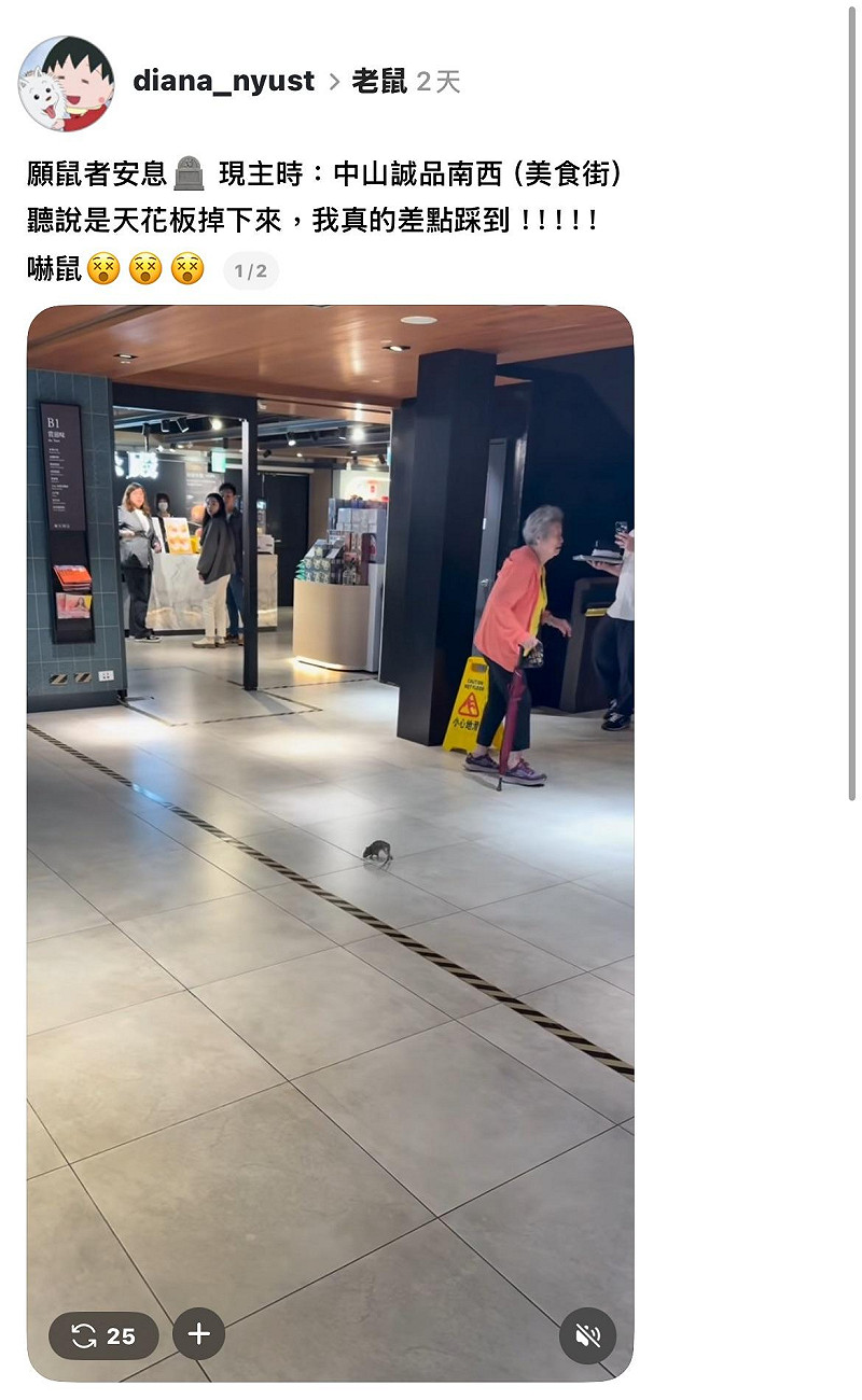 民眾於中山誠品南西店美食街逛街時竟然有老鼠從天而降，嚇壞眾人。&nbsp;&nbsp;&nbsp;圖：翻攝自Threads@diana_nyust