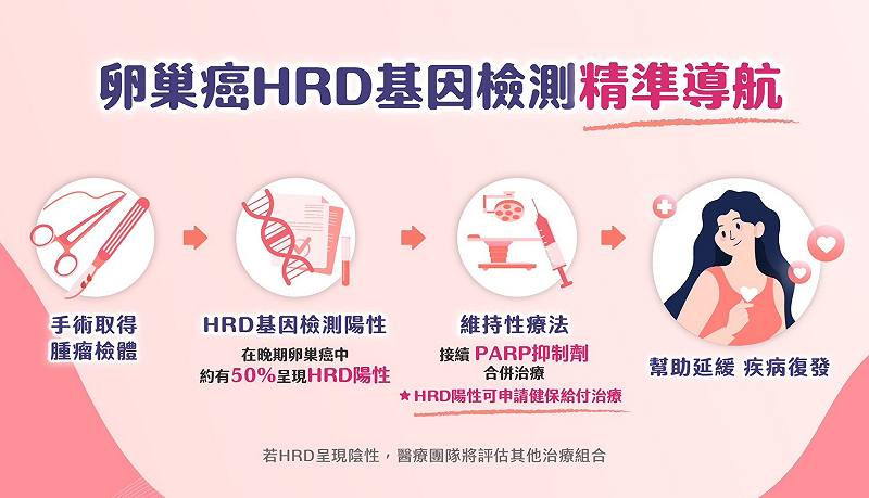 卵巢癌HRD基因檢測幫助病人精準治療。&nbsp;&nbsp;&nbsp;圖：台灣癌症基金會/提供