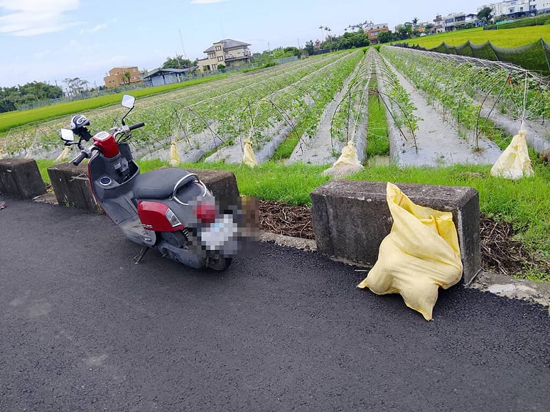 越南籍3阮姓失聯移工23日涉嫌在宜蘭縣壯圍鄉偷摘哈密瓜，遭警方查緝時直接將哈密瓜及機車丟在路旁、躲進稻田，隨後還爬上鐵皮屋頂與警方僵持，經勸說才就逮。（壯圍鄉新南村長葉慶文提供）中央社記者王朝鈺傳真　115年5月24日&nbsp;&nbsp;&nbsp;