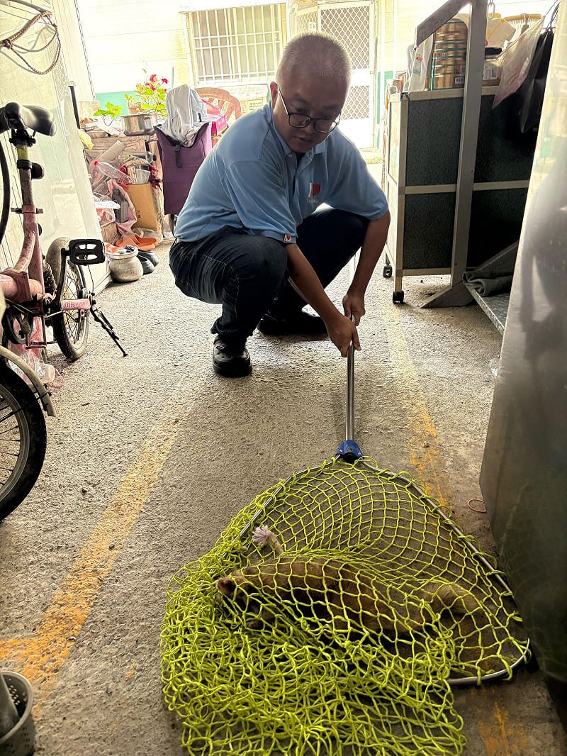 發現行為異常的野生動物需遠離並限制行動， 不要與牠接觸、逗弄或餵食，且聯絡動保或防疫機關。&nbsp;&nbsp;&nbsp;圖：台東縣動物防疫所／提供