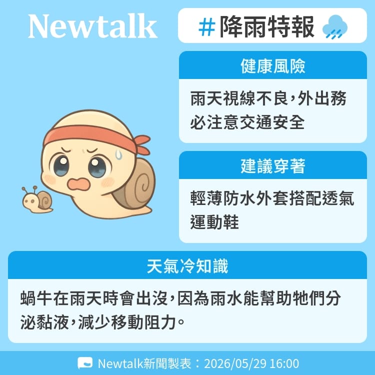 蝸牛在雨天時會出沒，因為雨水能幫助牠們分泌黏液，減少移動阻力。 圖：Newtalk製表&nbsp;&nbsp;&nbsp;