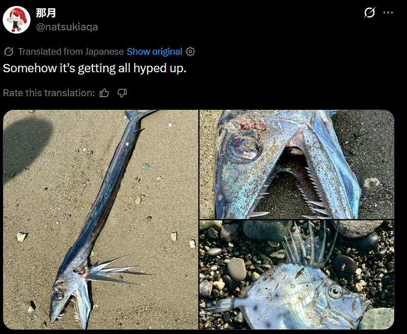 日本網友在靜岡市清水區的海岸邊發現了兩條被沖上岸的魚。一條魚身形異常細長，另一條魚的背鰭則尖銳，照片上傳後引發大量討論。&nbsp;&nbsp;&nbsp;