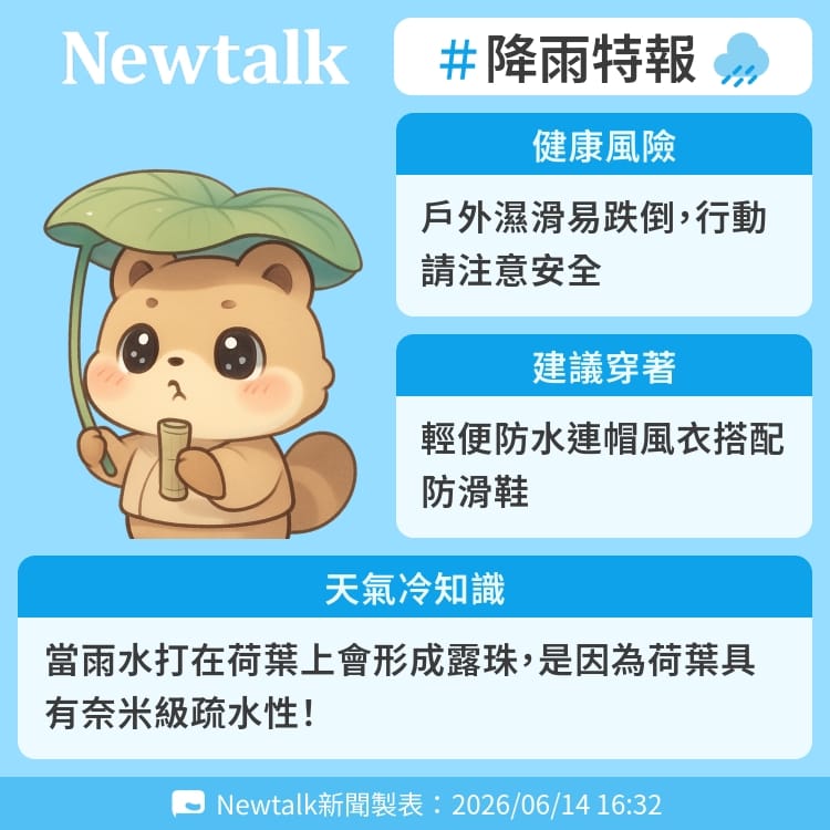 當雨水打在荷葉上會形成露珠，是因為荷葉具有奈米級疏水性！ 圖：Newtalk製表&nbsp;&nbsp;&nbsp;