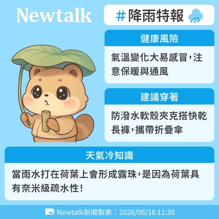 當雨水打在荷葉上會形成露珠，是因為荷葉具有奈米級疏水性！ 圖：Newtalk製表&nbsp;&nbsp;&nbsp;