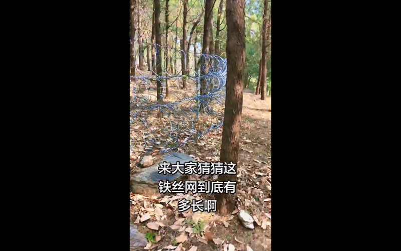 近日多名中國網友拍攝影片指出,泰山景區周邊架設長達 135 公里的刀片刺繩鍍鋅隔離網,大量非遊覽區域被圍堵,引發外界質疑。 圖:翻攝自X 近日多名中國網友拍攝影片指出,泰山景區周邊架設長達 135 公里的刀片刺繩鍍鋅隔離網,大量非遊覽區域被圍堵,引發外界質疑。 圖:翻攝自X