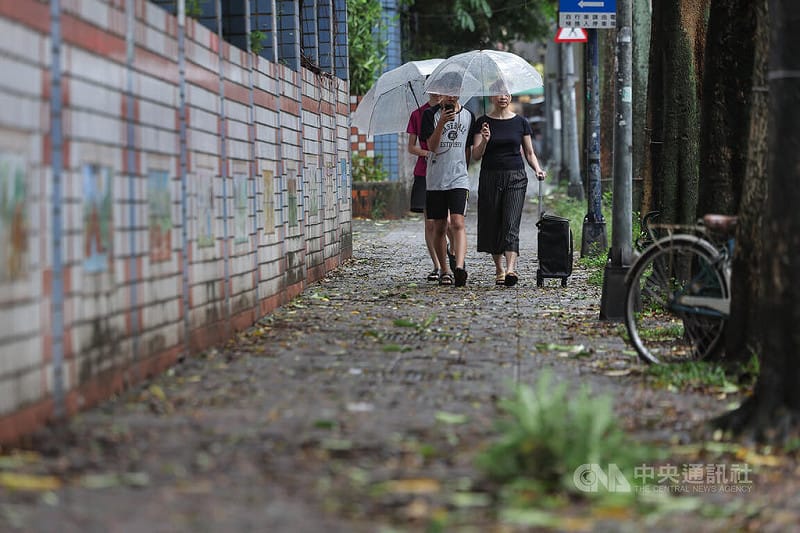 受颱風巴威及其外圍環流影響，台北市內湖區街道也因風雨布滿凌亂樹枝、樹葉。中央社記者翁睿坤攝 115年7月11日&nbsp;&nbsp;&nbsp;