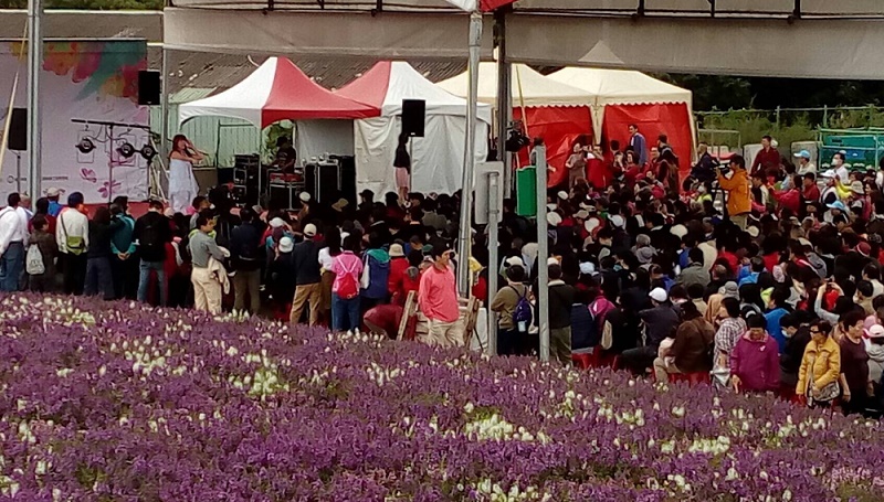 今天關渡花海舉辦「百花綻放 金韻饗宴」民歌演唱會。   圖：台北市觀傳局提供