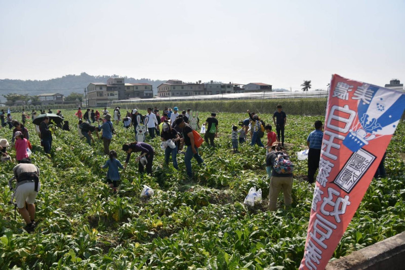美濃每年舉辦的「白玉蘿蔔節」已經成為秋天民眾詢問度最高的活動。   圖：高雄市農業局提供