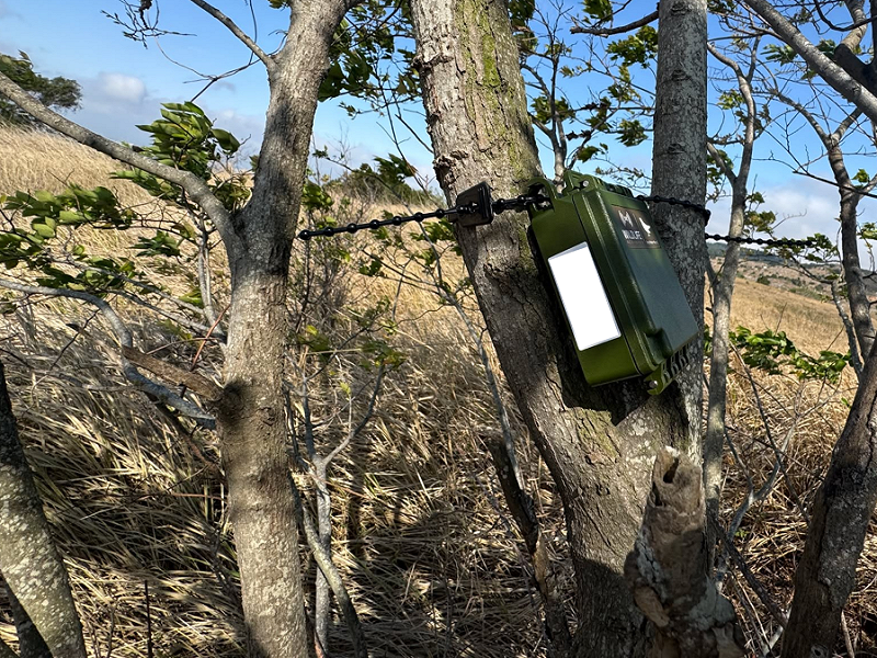 研究團隊透過於大肚山地區架設自動錄音機調查草鴞可能的活動區域。&nbsp;&nbsp;&nbsp;圖：林業及自然保育署台中分署／提供