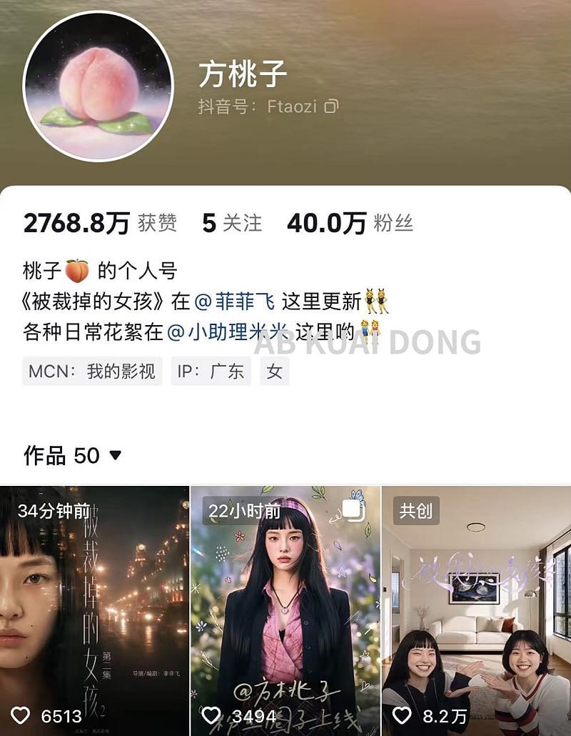  方桃子自成立帳號約一個月後，粉絲數便突破 40 萬。 圖：翻攝自 X AB Kuai.Dong 