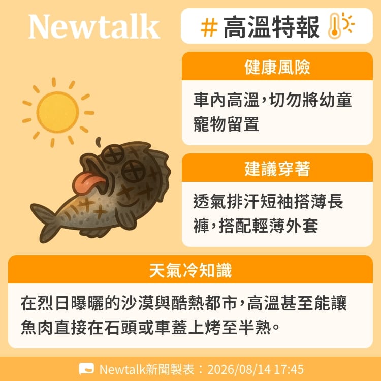 在烈日曝曬的沙漠與酷熱都市，高溫甚至能讓魚肉直接在石頭或車蓋上烤至半熟。 圖：Newtalk製表&nbsp;&nbsp;&nbsp;