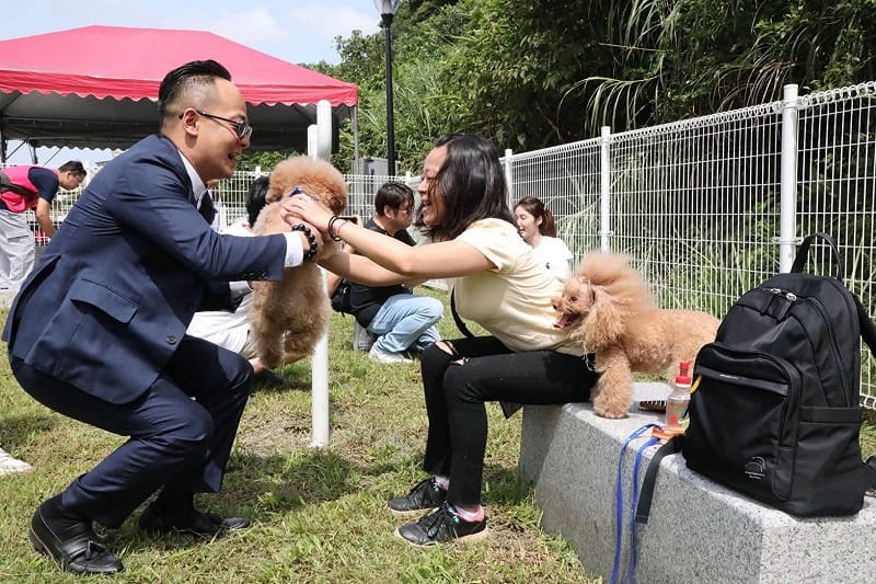 童子瑋強調，毛小孩是現代家庭不可或缺的成員，未來若入主市府，將落實「生活市長」理念，把動物福祉納入城市治理核心，給予飼主最實質的支持。&nbsp;&nbsp;&nbsp;圖：童子瑋辦公室/提供